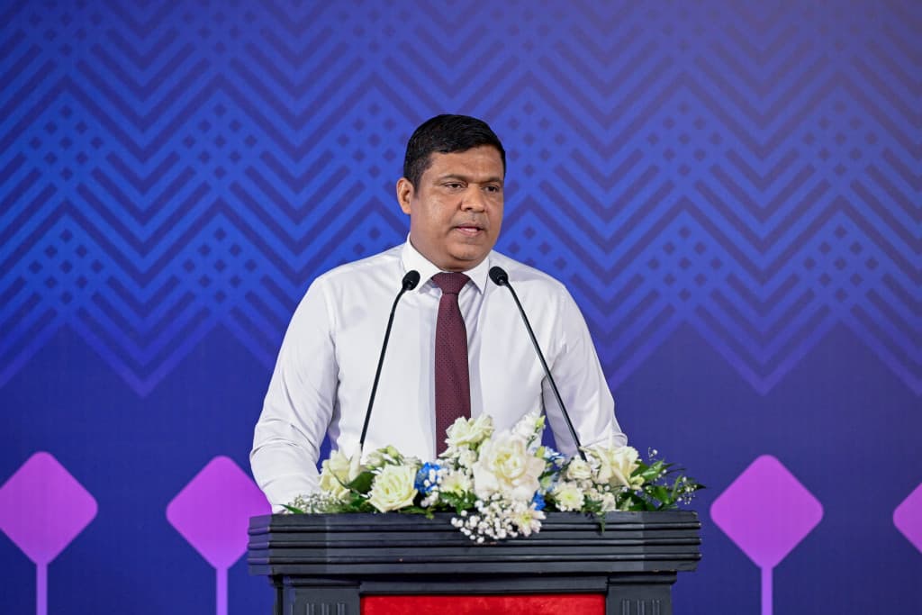 ވައިގެ ދަތުރުފަތުރުގެ ދާއިރާ ފުޅާކުރުމަށް އިތުރު ދެ އެއްބަސްވުމެއް އެކުލަވާލަނީ