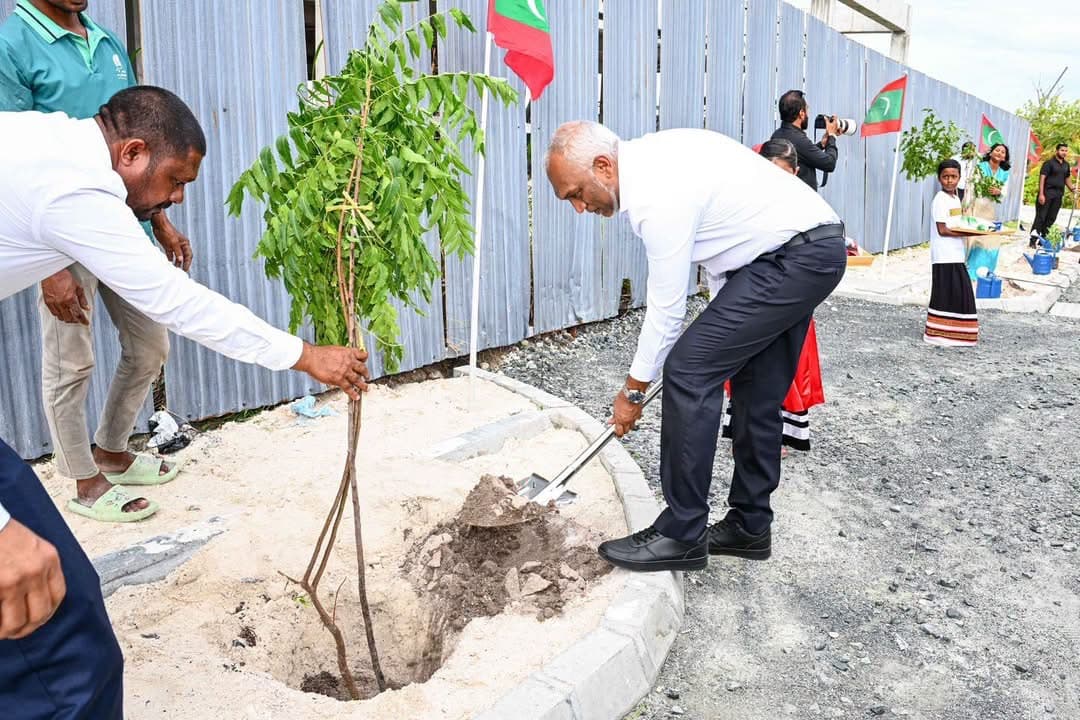 އުކުޅަހުގައި ކުރިއަށްގެންދެވި ގަސް އިންދުމުގެ ހަރަކާތުގައި ރައީސް ޑރ. މުހައްމަދު މުއިއްޒުގެ ދެކަނބަލުން ބައިވެރިވެވަޑައިގެންފި
