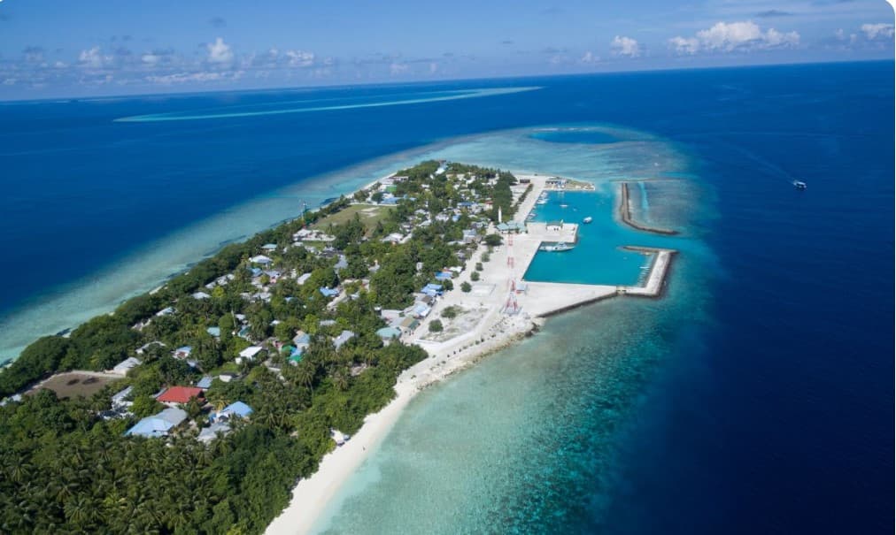 ހޭނައްތާ ޑޮކްޓަރުންގެ ބޮޑު ކޮންފަރެންސެއް އުކުޅަހުގައި ބާއްވަނީ